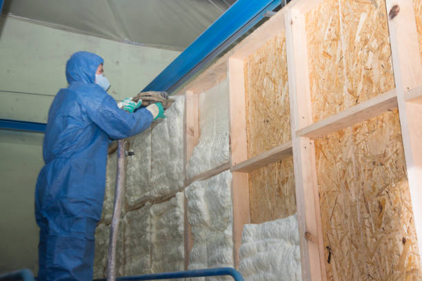 Attic Insulation Near Me in Coon Rapids, IA